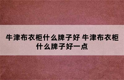 牛津布衣柜什么牌子好 牛津布衣柜什么牌子好一点